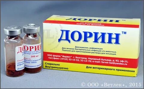 Дорин