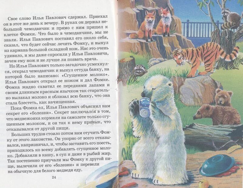 Чаплина фомка белый медвежонок. Рассказ про медвежонка фомку. Фомка белый медвежонок иллюстрации. Книга чаплина фомка белый медвежонок. Маршак белые медведи.