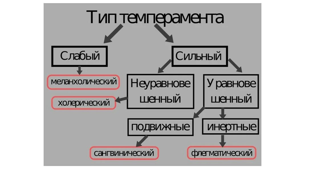 Типы темперамента по Павлову. Типы темперамента Павлов. Типы темперамента и. п. Павлова —. Учение и п Павлова о темпераменте. Типах темперамента и п павлова