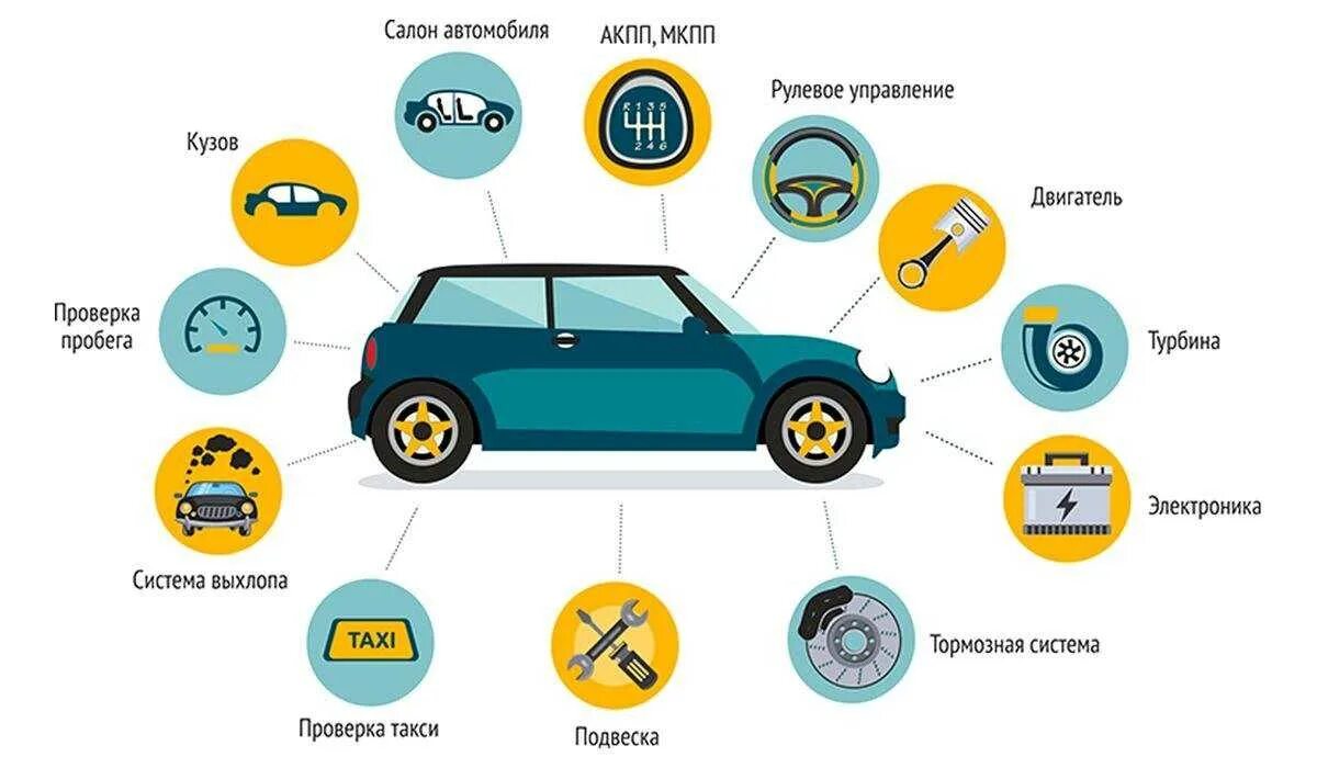 Инфографика машина. Осмотр авто перед покупкой. Порядок осмотра автомобиля. Схема диагностики автомобиля.