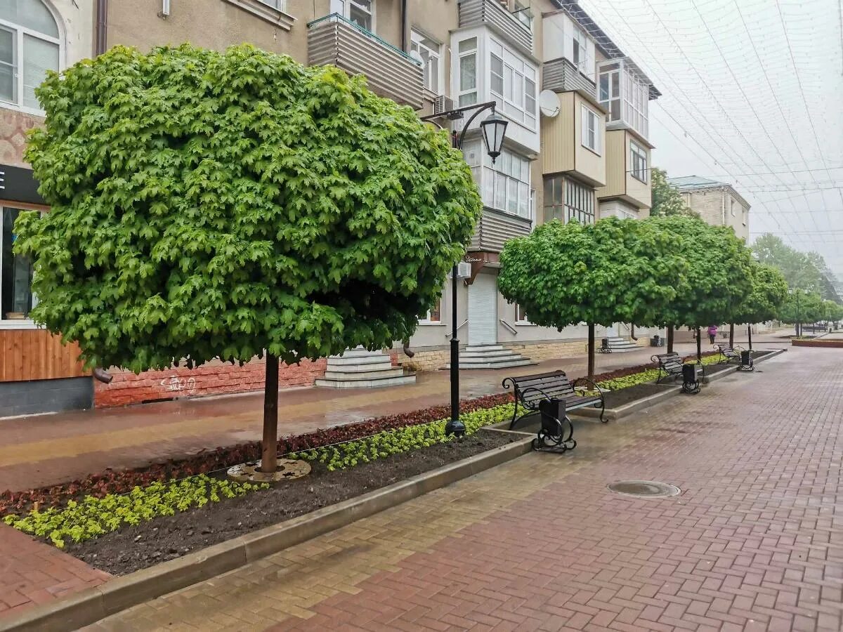 Улица первомайская черкесск. Пешеходная улица Бобров.