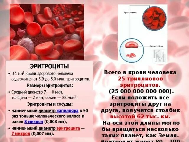 Эритроциты повышены у взрослого мужчины причины. Повышение эритроцитов. Эритроциты в крови повышены. Повышение содержания эритроцитов. Снижены эритроциты в крови.