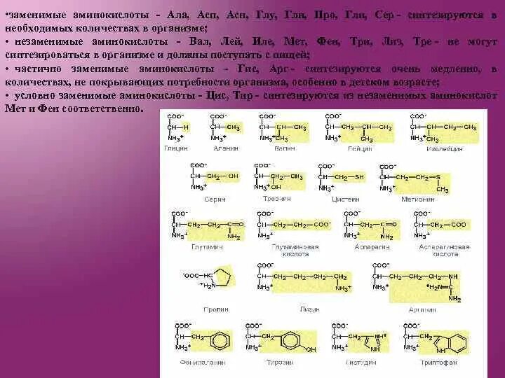 АСП И АСН аминокислоты. Asp ASN аминокислоты. АСП аминокислота формула. ГЛН И глу аминокислота. Ала гис фен