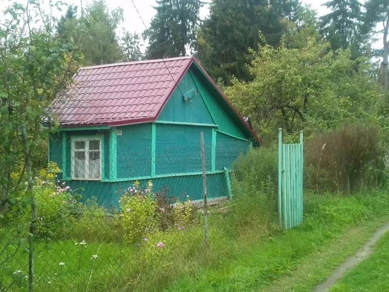 Псковские дачи. Недорогие дачи псков. Пристань 2 псков. Снт черняковицы псков. Продажа дач в пскове.