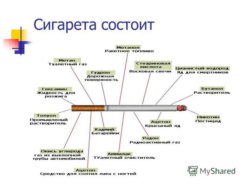 Л к п состоит из. Строение табачной сигареты. Составные части сигареты. Состав сигареты схема. Конструкция сигареты.