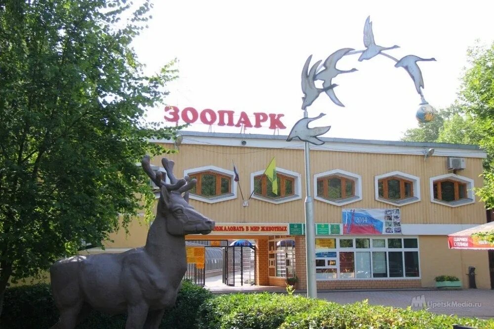 Липецкий зоопарк. Липецкий зоопарк липецк. зоопарк в городе липецке. липецкий зоопарк нижний парк. зоопарк в нижнем парке липецк.