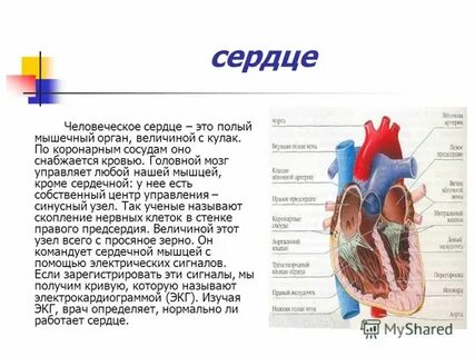 Полый это
