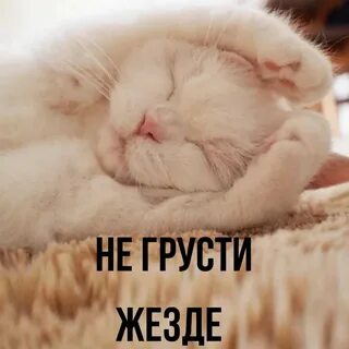 Не грусти родная все будет