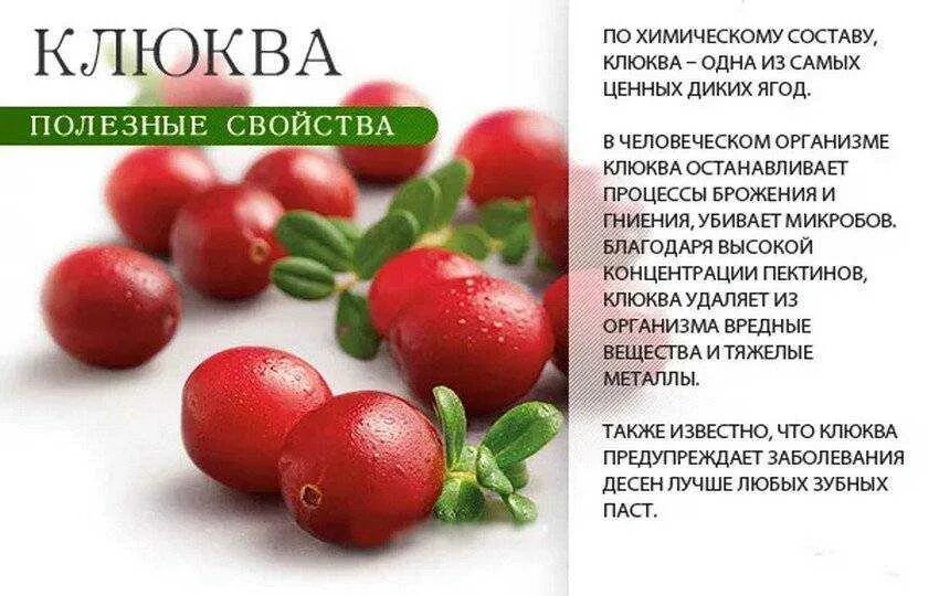 При каких заболеваниях полезна клюква. Клюква полезные свойства. чем полезна клюква. клюквпполезные свойства. клюква полезные свойства ягод.