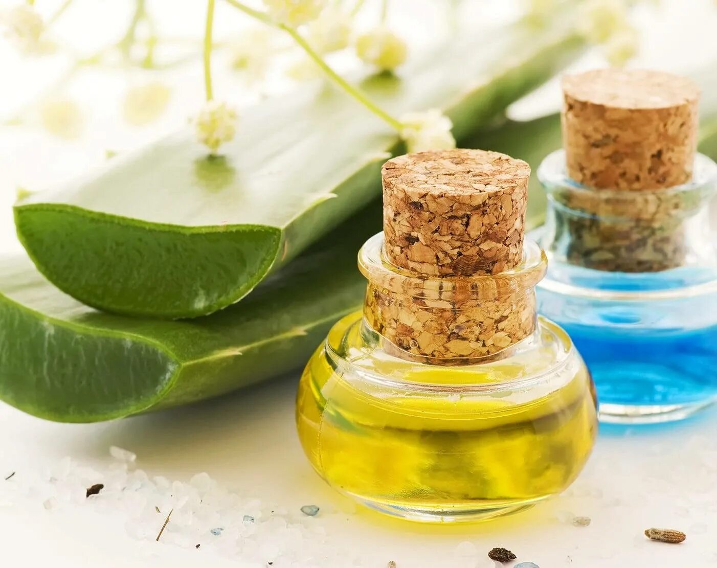 Aloe Vera Oil. Натуральные экстракты в косметике. Настойка алоэ приготовление в домашних условиях