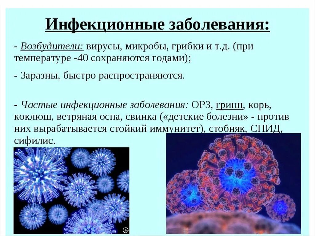 Вирус url. Возбудители инфекционных заболеваний. Вирусы возбудители инфекционных заболеваний. Возбудители инфекционных заболеваний вирусы и бактерии. Вирусы возбудители заболеваний человека.