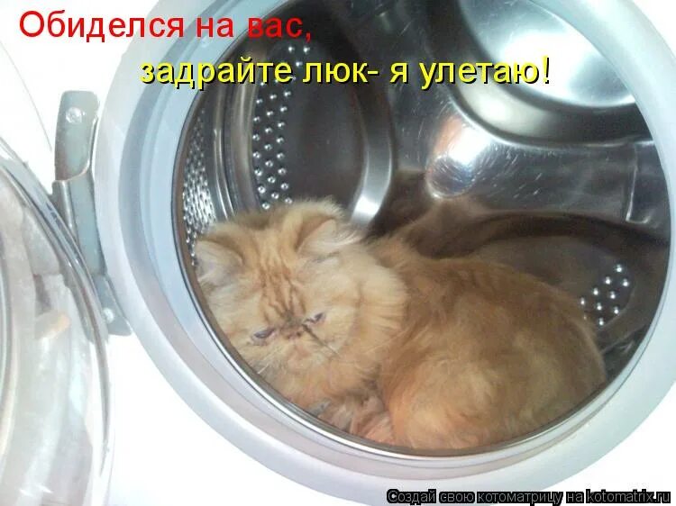 Задраить люки. Доброе утро хозяин. Чистый четверг приколы. Смешные картинки с подписями. Задраить люки мем.