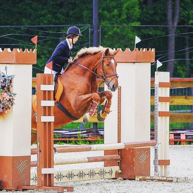 отрада старты