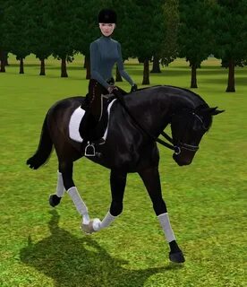 Star worm equestrian