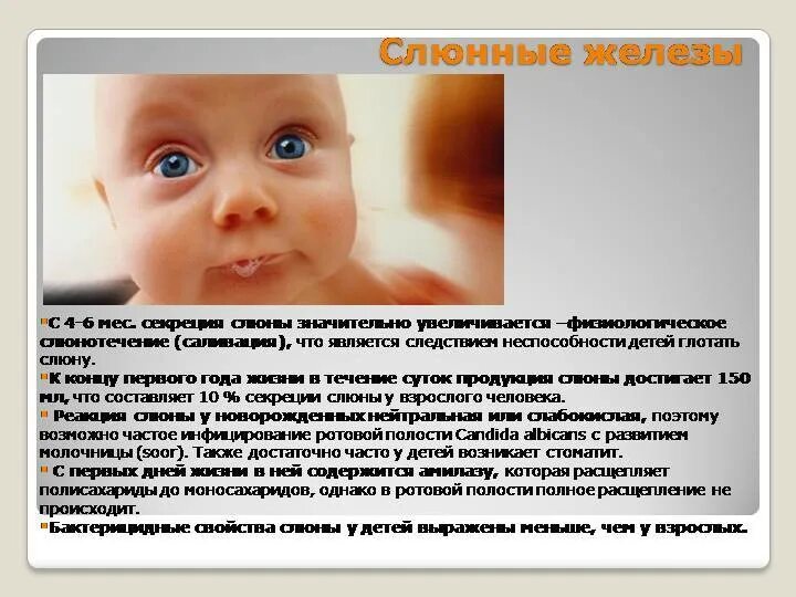 Слюни у ребенка 4 месяца. Слюноотделение у здорового доношенного ребенка начинается (мес.). слюнные железы у детей особенности. возрастные особенности слюноотделения.. обильное слюнотечение у детей наблюдается с возраст в мес.