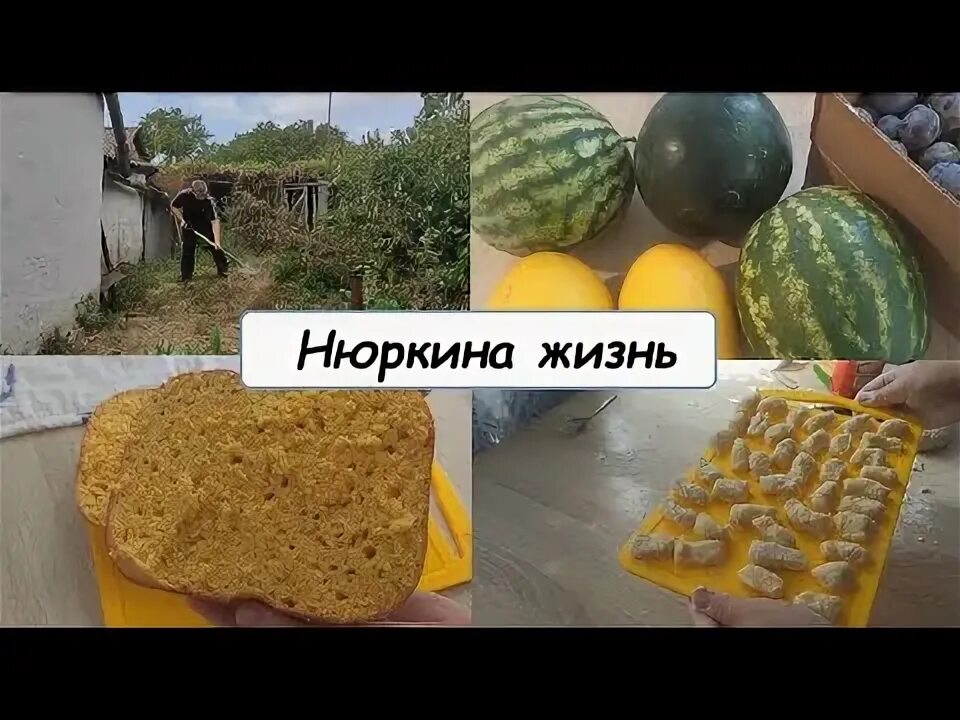 Канал нюркина жизнь