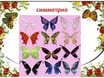 Узоры на крыльях изо 1 класс презентация