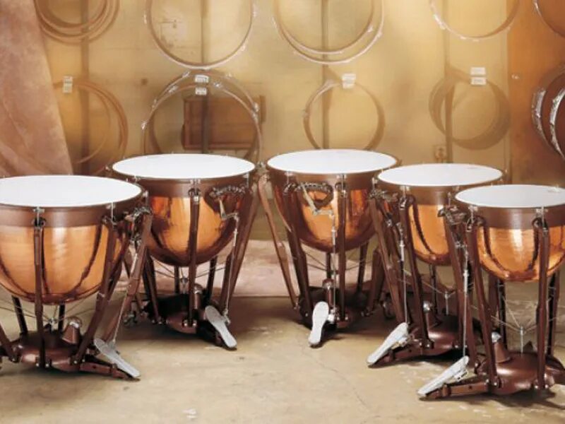 Литавры ударный музыкальный инструмент оркестра. Тимпан ударный музыкальный инструмент. Тимпан ударный музыкальный инструмент. Литавры ударный музыкальный инструмент музыкальные инструменты. Тимпан музыкальный инструмент.