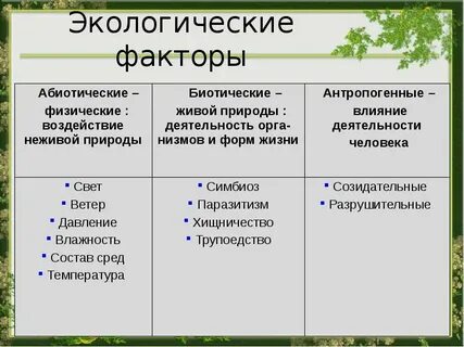 Презентация на тему экологические факторы и их влияние на организмы 9 класс