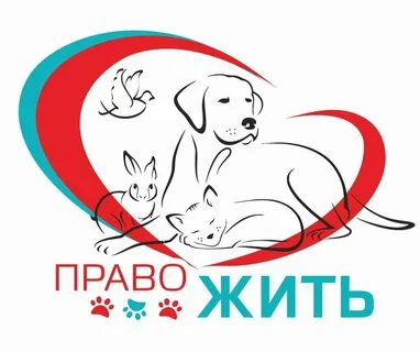 Подари им шанс зоозащитное