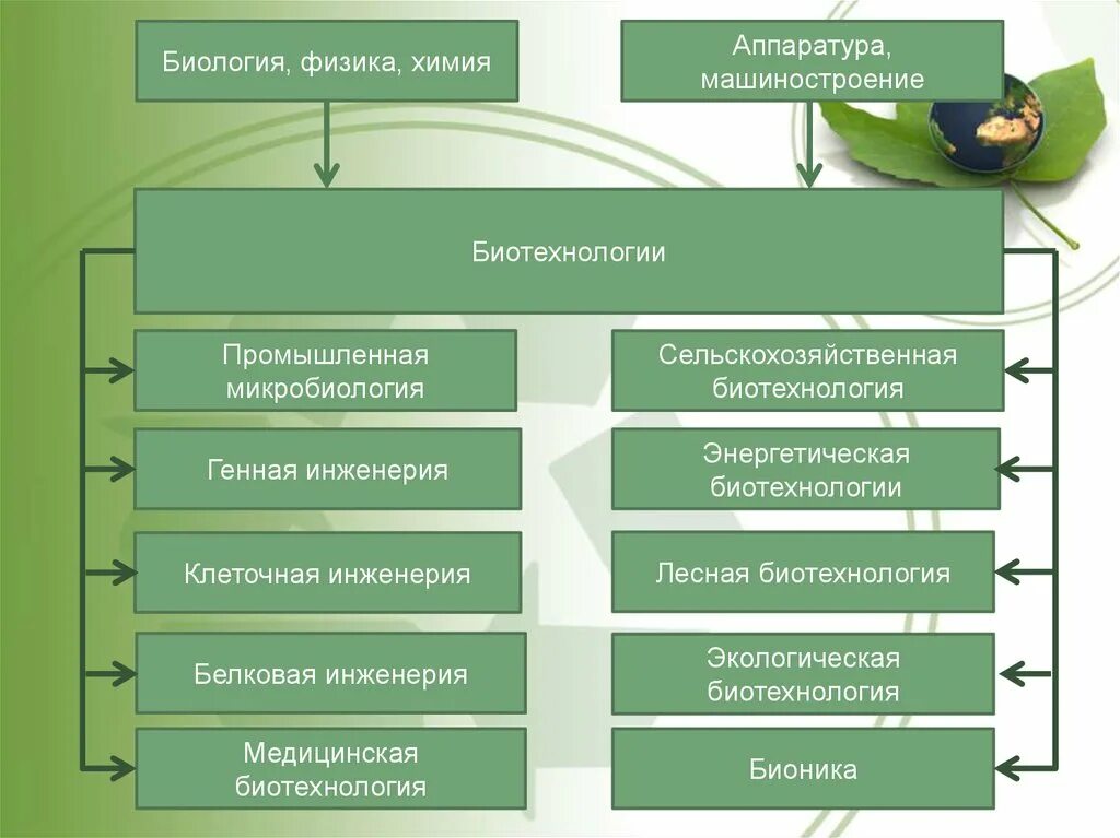 Биотехнологии 8 класс. Бионика биотехнология. Экологическая биотехнология. Экологическая инженерия в биотехнологии. Биотехнология это в биологии.