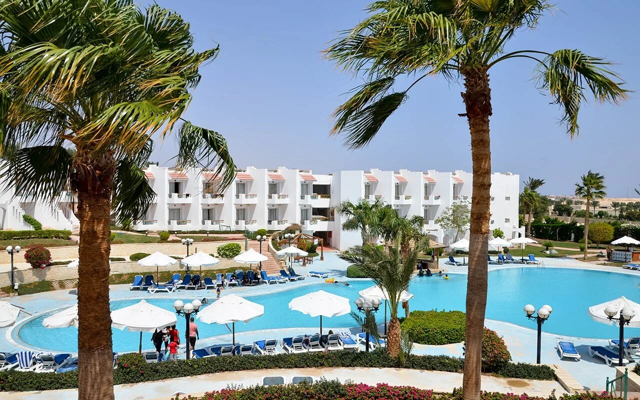 Cyrene Sharm. Cyrene Sharm 4*. Отель Ivy Cyrene Sharm 4. Cyrene Hotel 4 Шарм-Эль-Шейх.