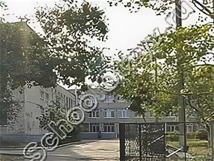 Гимназия 39 тольятти. Лицей 57 тольятти. Гимназия 39 тольятти. В. Гимназия 39 тольятти.