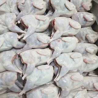 Тушки перепелов