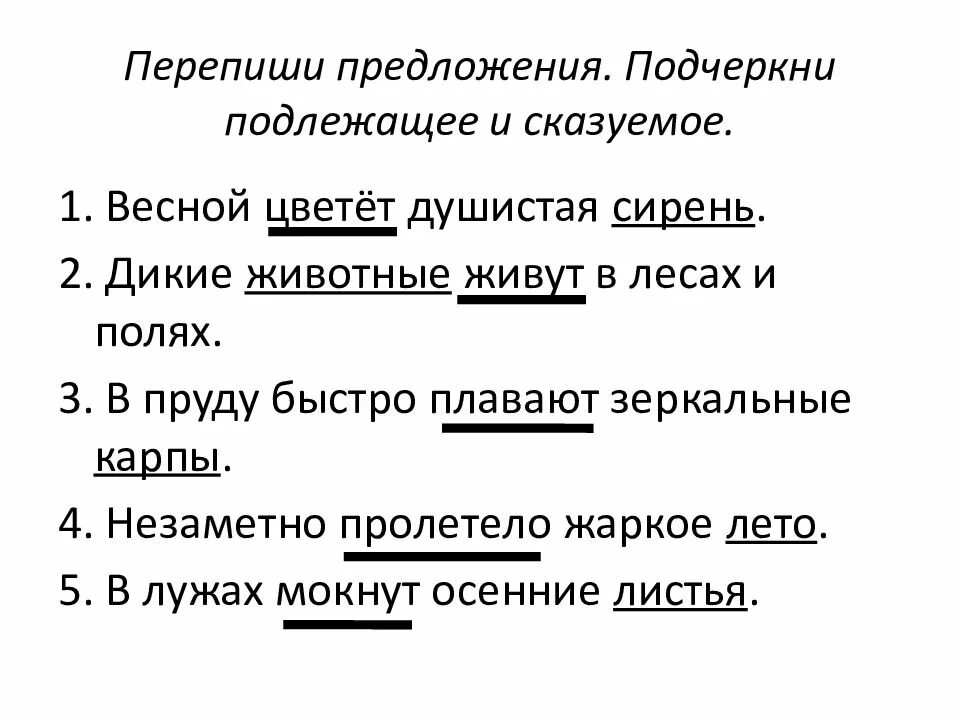 Предложения со словом давно. Сказуемые и подлежащие в предложении. Предложение подлежащее и сказуемое. Предложение подлежаеещие и сказуе мое. Подлежащие и сказуемое предложения для 2 класса.