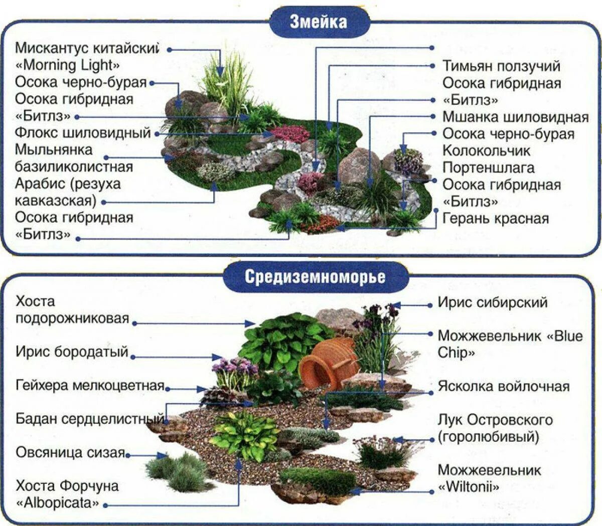 Названия цветов для альпийской горки. Рокарий в ландшафтном дизайне схемы. Рокарий схема посадки растений. Схемы рокариев в ландшафтном дизайне. Альпийская горка с хвойниками и камнями схема.