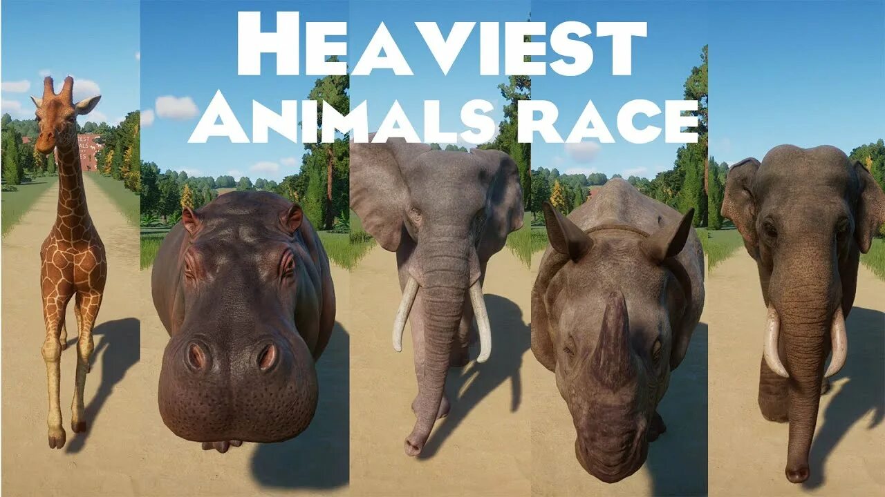 Heaviest animal