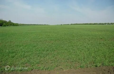 Продам земли с х назначения