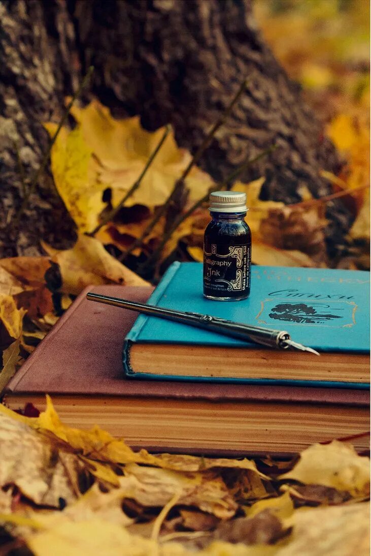 Название книг про осень. Сухие листья в книжку. Гербарий засушенные растения осень. Осень. Уютная осень.