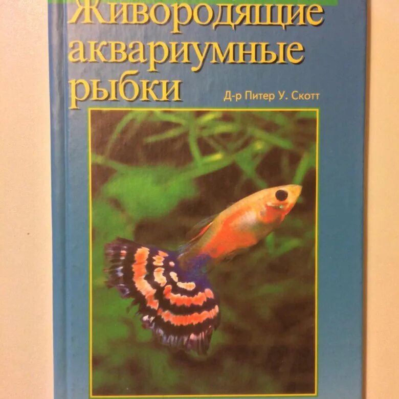 Аквариум содержание и разведение. Живородящие аквариумные рыбки список с фото.