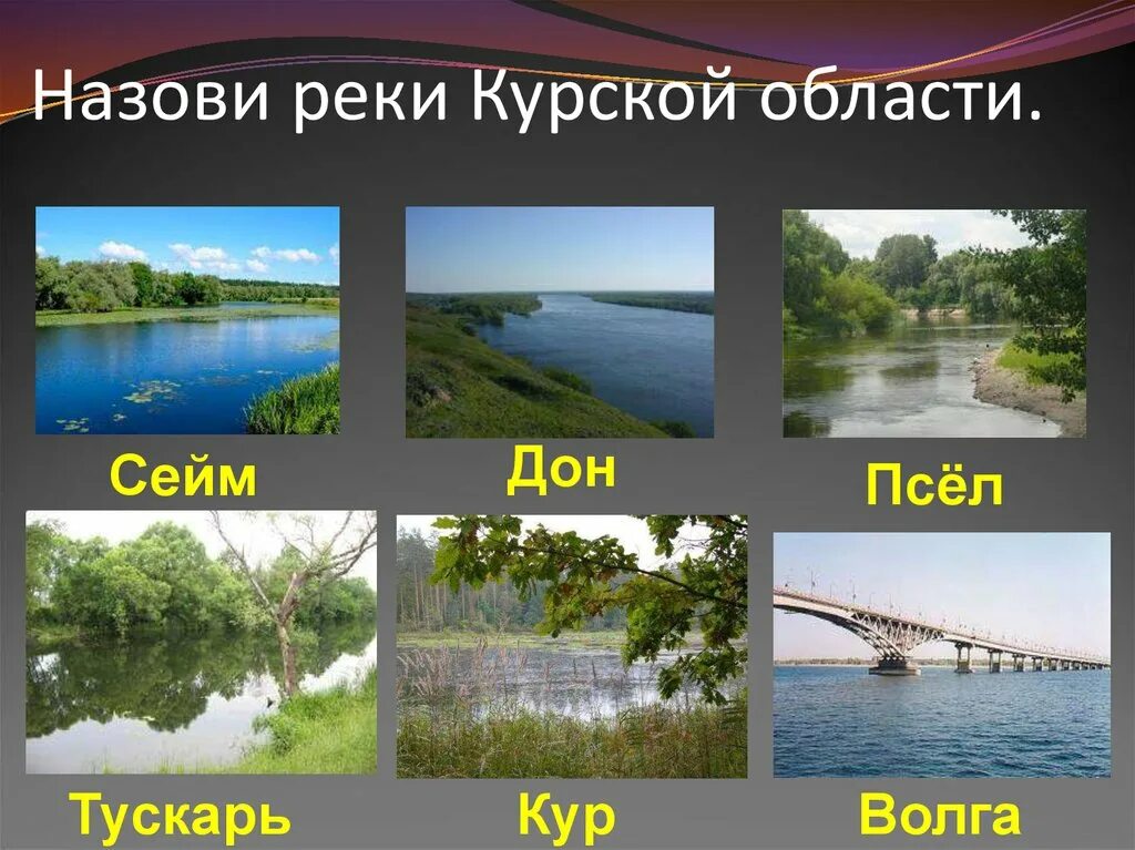 Река в курской области 5 букв. Самая большая река Курской области. Сейм (река) реки Курской области. Реки Курской области 4 класс Сейм. Крупные реки Курской области.