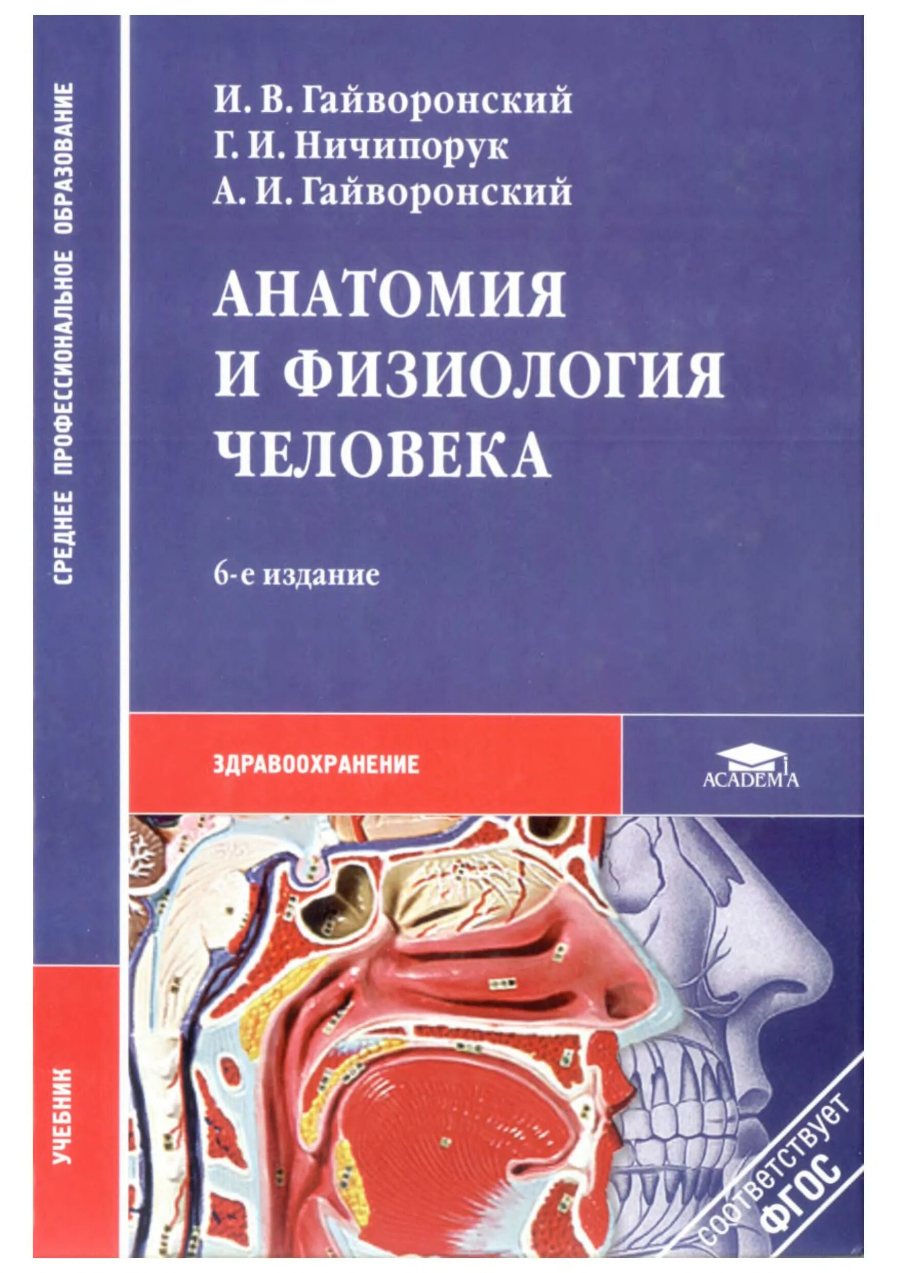 Анатомия медколледж. Анатомия и физиология человека и.в. Гайворонский, г.и. Ничипорук. Анатомия и физиология человека Гайворонский. Книга анатомия и физиология человека Гайворонский. Гайворонский Ничипорук анатомия человека.