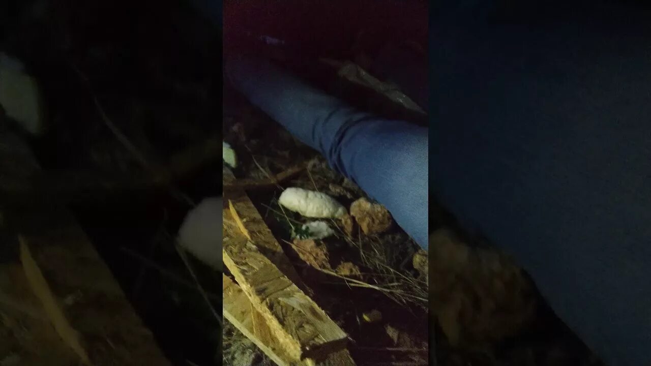 Подпольный погреб. Подполье новости. Подполье в доме. Подпол в деревенском доме. Подполье новости.