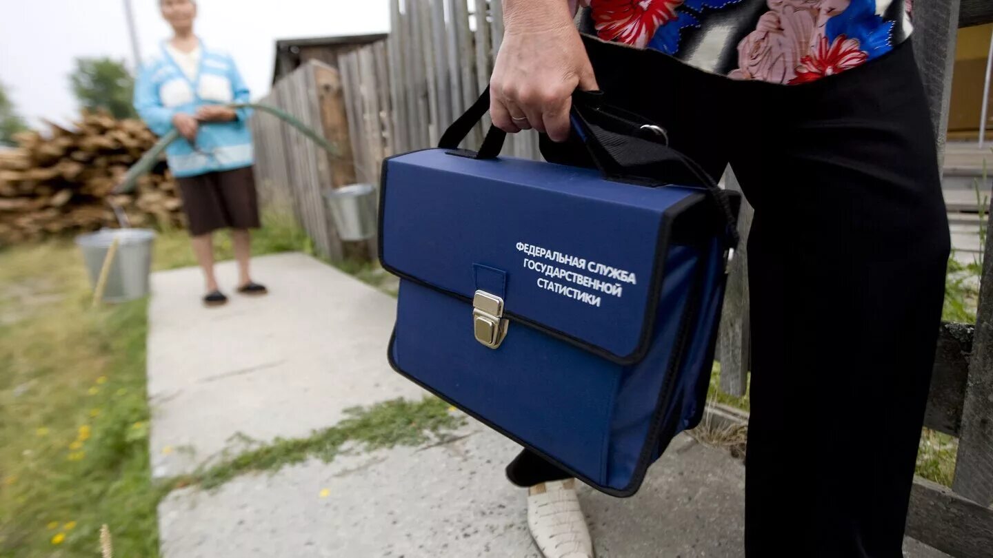 Сумка росстат. Всероссийская перепись населения (2020-2021). Переписи интересные факты. Росстат перепись. Росстат перепись.
