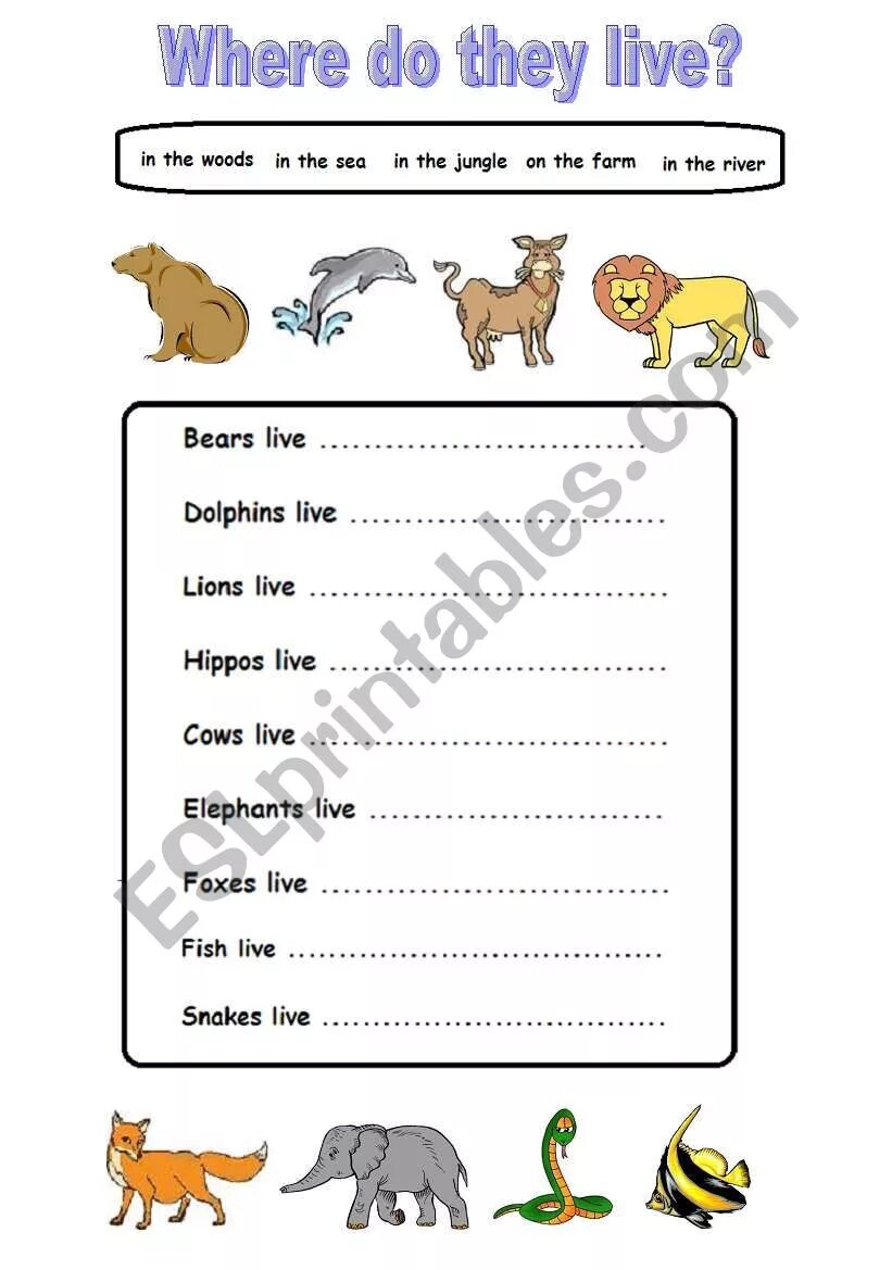 Where animals Live Worksheets. Where animals Live Worksheets for Kids. Where do they Live Worksheets. Where do animals Live Worksheets for Kids.