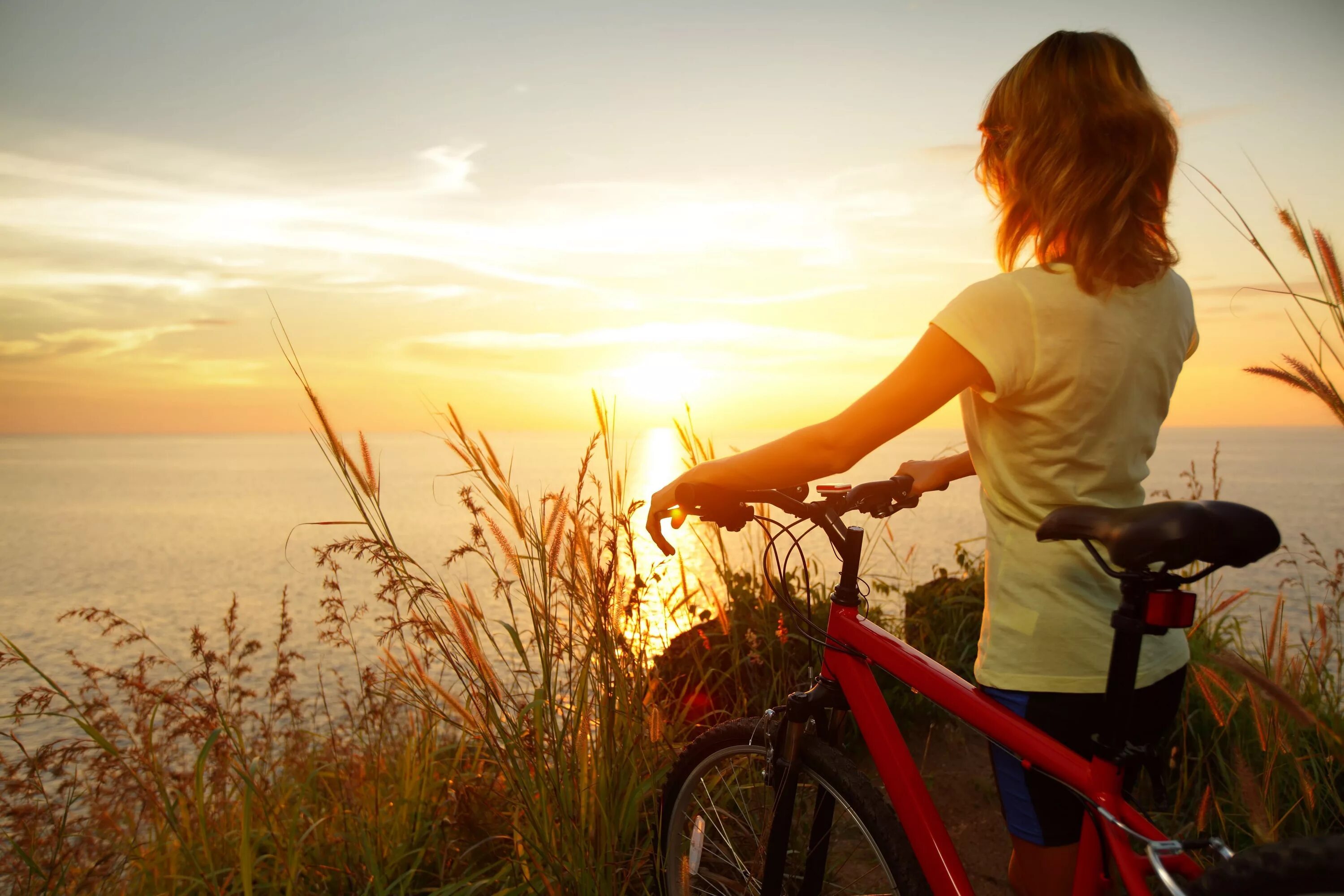 Прожить заметить. Велосипед на природе. Девушка на велосипеде. Велосипед на рассвете. Велосипед на закате.