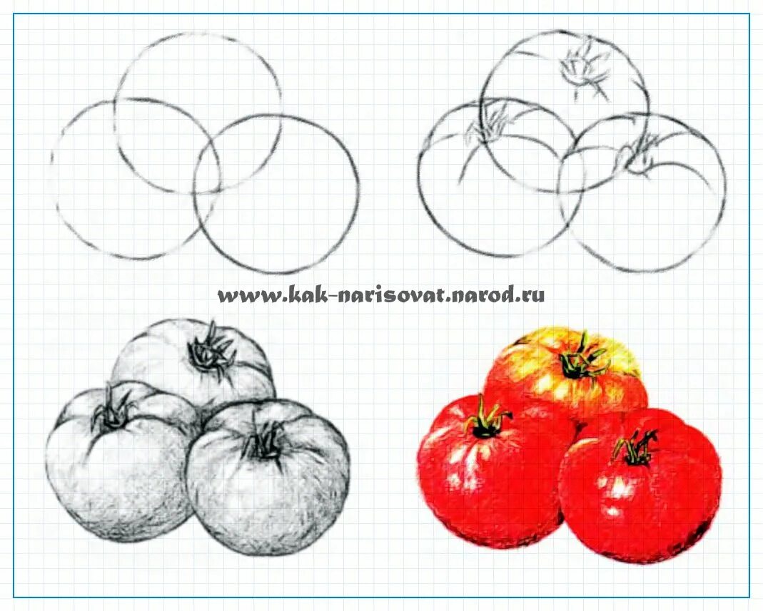 Поэтапное рисование. Рисуем овощи и фрукты с детьми. Схема рисования фруктов и овощей. Как нарисовать фрукты карандашом поэтапно. Как нарисовать фрукты карандашом поэтапно.