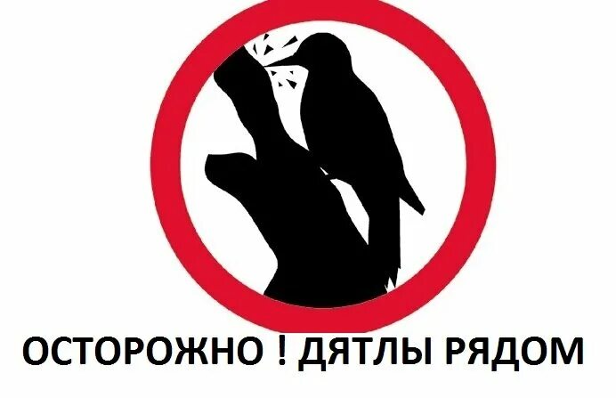 Стукач 5 букв. Стукач плакат. Осторожно на работе стукач. Осторожно дятлы. Стукач рисунок.