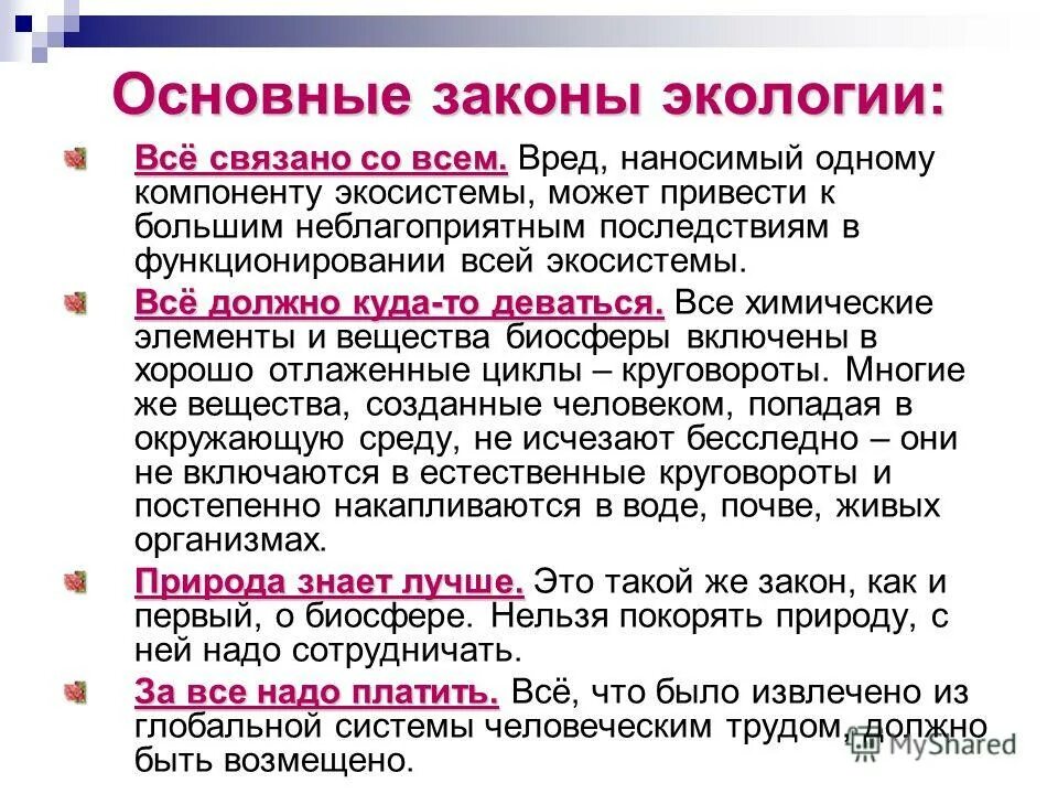 Основном связано. Законы экологии. Основные экологические законы. Эко законы. Закон экологии все связано со всем.