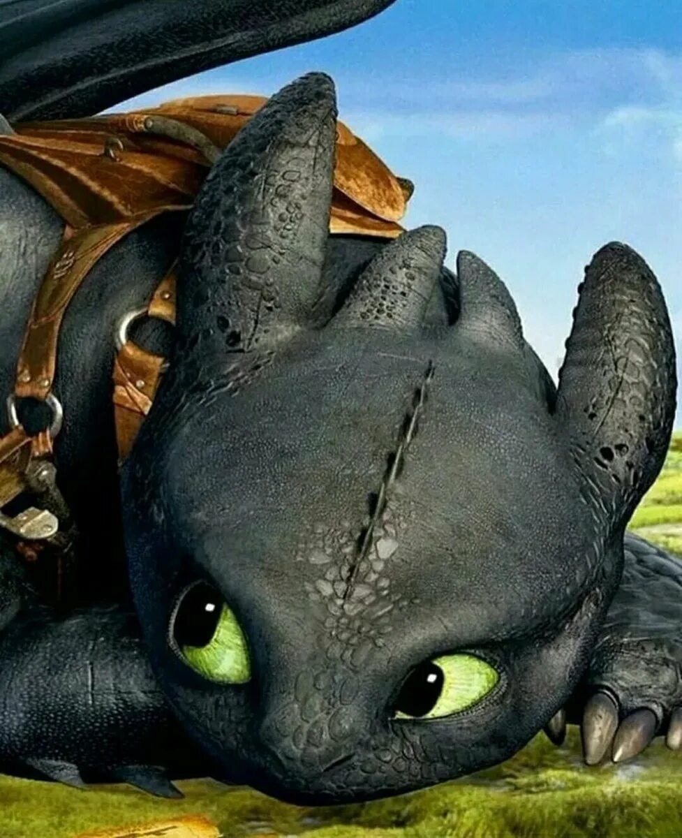 Как приручитььдракона беззубик. Фигурка dragons беззубик делюкс. Дракон беззубик альфа. Как приручить дракона 2 беззубик. Дракон ночная фурия беззубик.