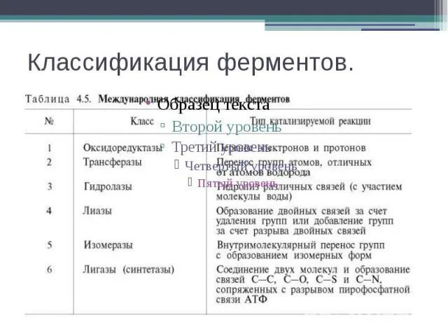 Функции ферментов таблица. Биохимическая классификация ферментов. Международная классификация ферментов. Классификация ферментов таблица. Классификация ферментов схема.