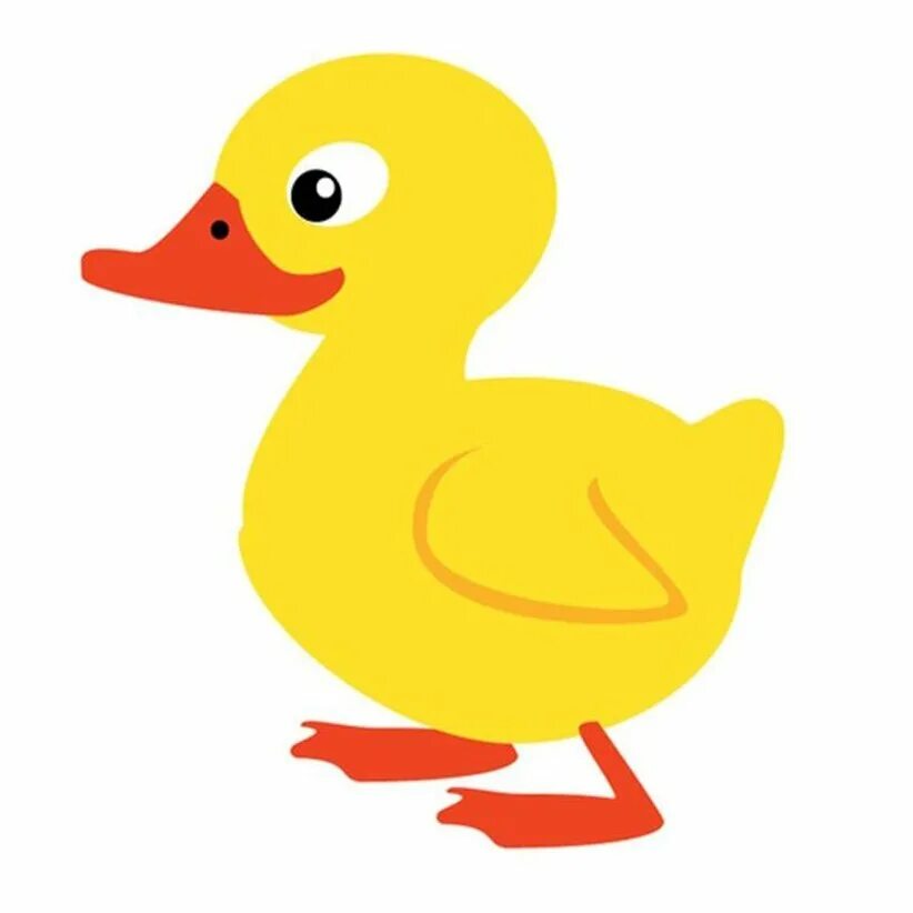 утенок иллюстрация