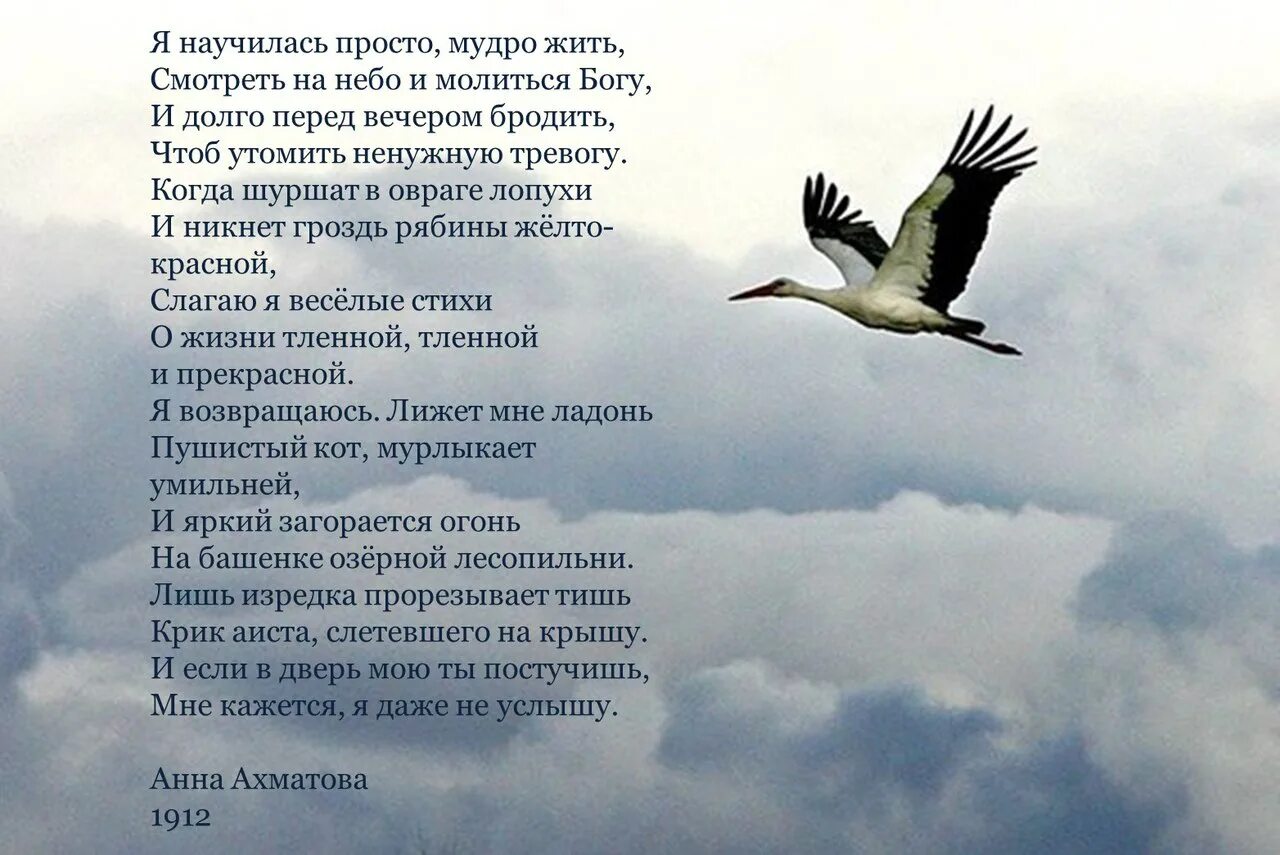 Журавли на аватар. Журавль в небе. Аист в небе. Журавль на гербе. Журавль в полете.