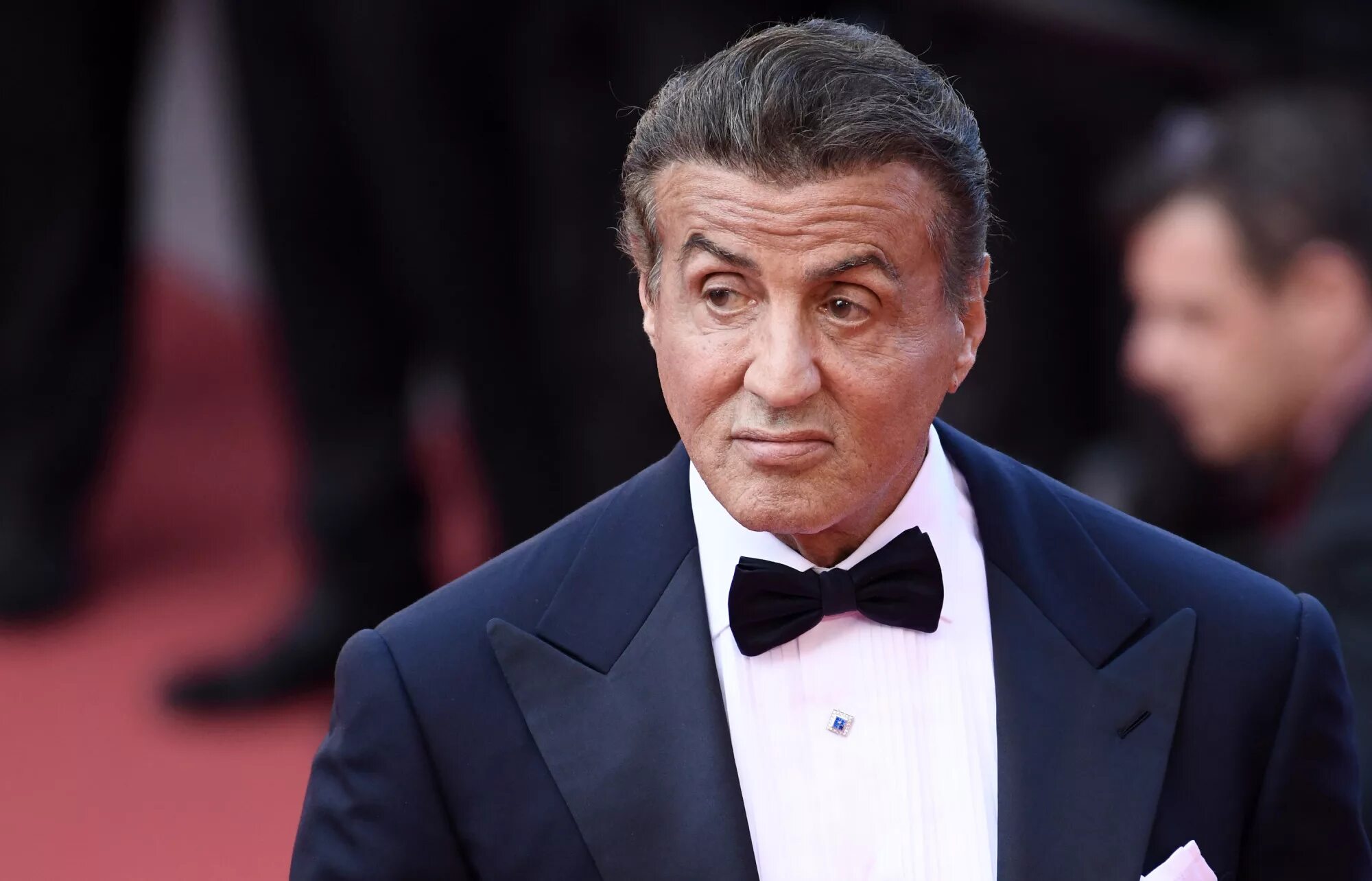 Сильвестр сталлоне 2022. Сильвестр сталлоне. Сталлоне сегодня. Сильвестр сталлоне 2019. Сильвестр сталлоне фото.