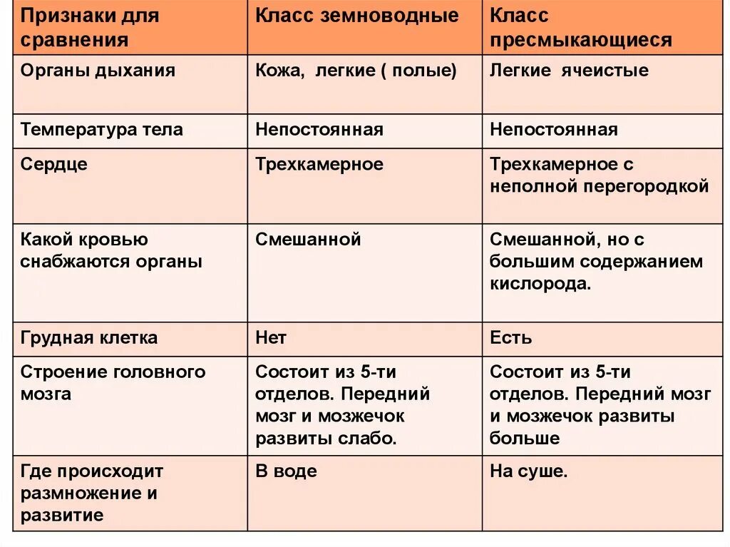 Таблица амфибии и рептилии