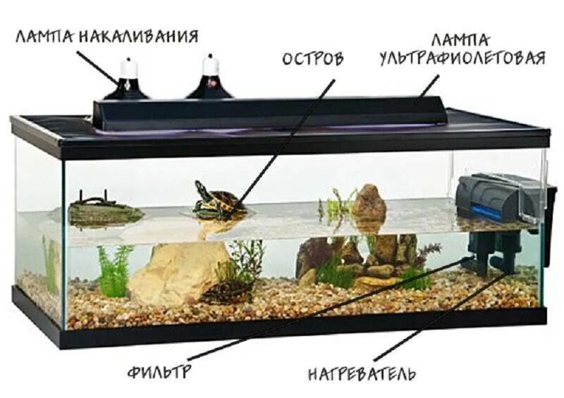 Содержание аквариума